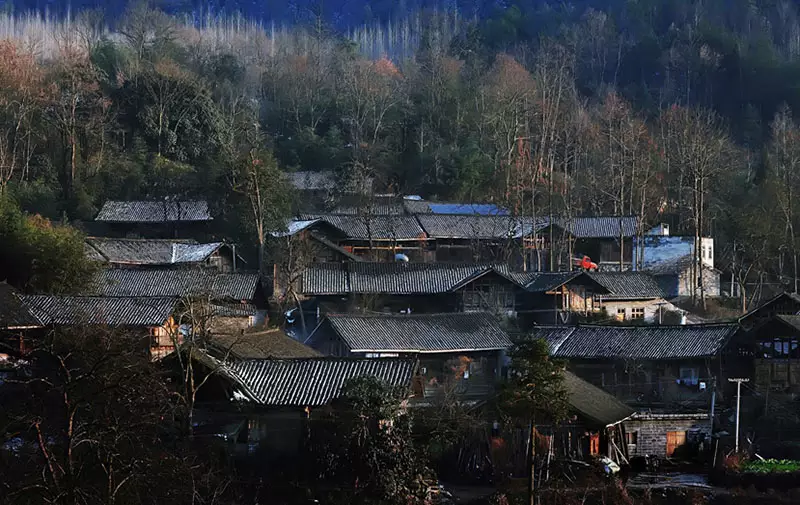 去过的人都说：贵州最美的春天，都藏在这个村里！海量美图