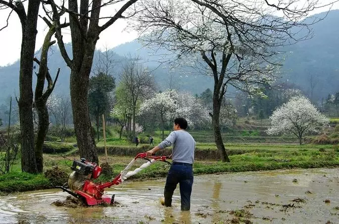 去过的人都说：贵州最美的春天，都藏在这个村里！海量美图