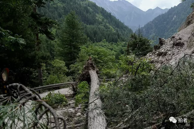 震后的九寨沟景区让人看哭了 专家:不建议人为复原