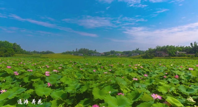 行走江阳｜三十秒带你看绝美的光影(图1)