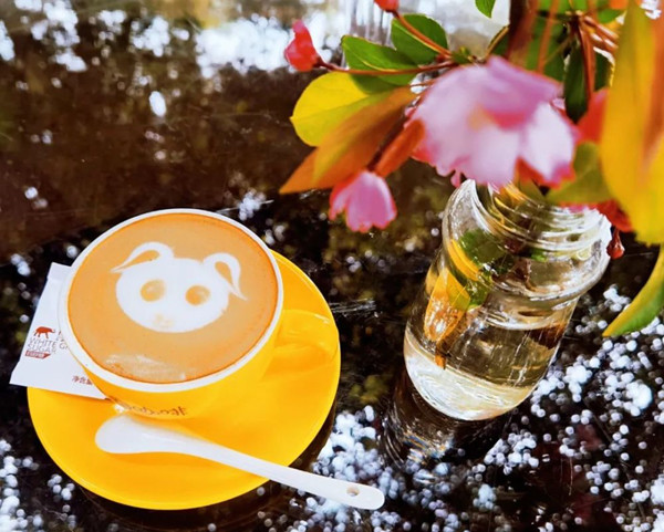 都江堰：“猪圈咖啡” 不一样的乡村旅游新体验