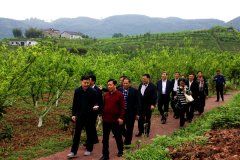 中国农业科技下乡专家团莅临纳溪区故里情源调研并签约