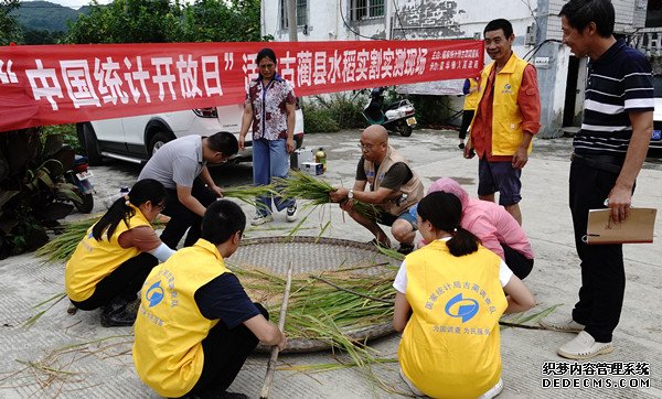 统计开放日 古蔺调查队在皇华镇开展实割实测活动 (图10)