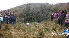 泸州：古蔺丹桂镇一男子大年初二坠入百米天坑生死未卜